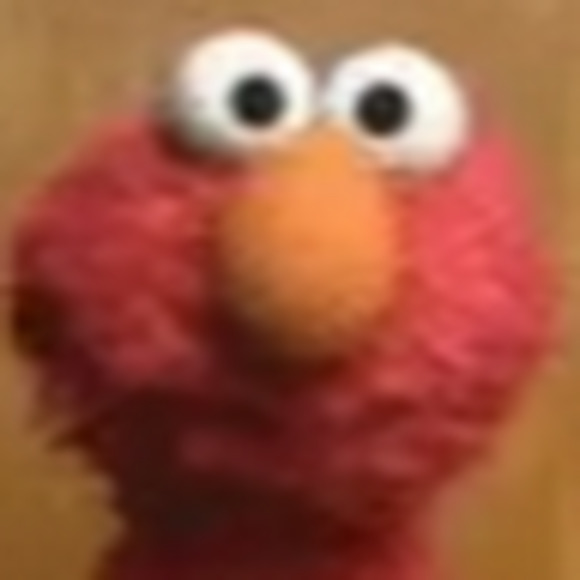 Meet your Posher, Ross - Picture 1 of 1